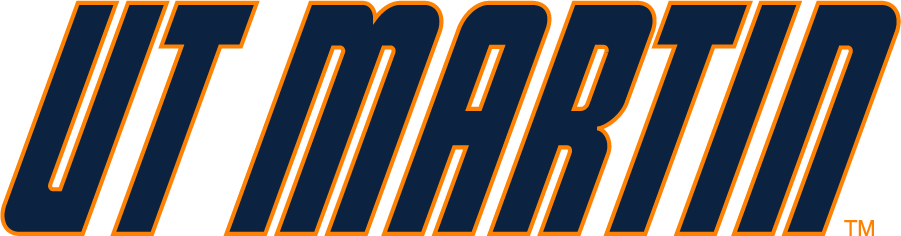 Tennessee-Martin Skyhawks 2007-Pres Wordmark Logo v2 diy iron on heat transfer